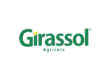 Girassol